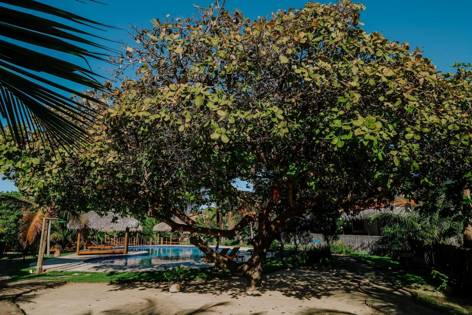 Casas Capulana Villa Icarai  Exterior photo